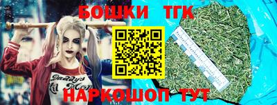 стаф Кандалакша
