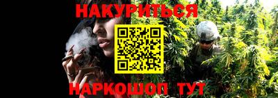 стаф Кандалакша
