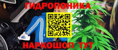 стаф Кандалакша