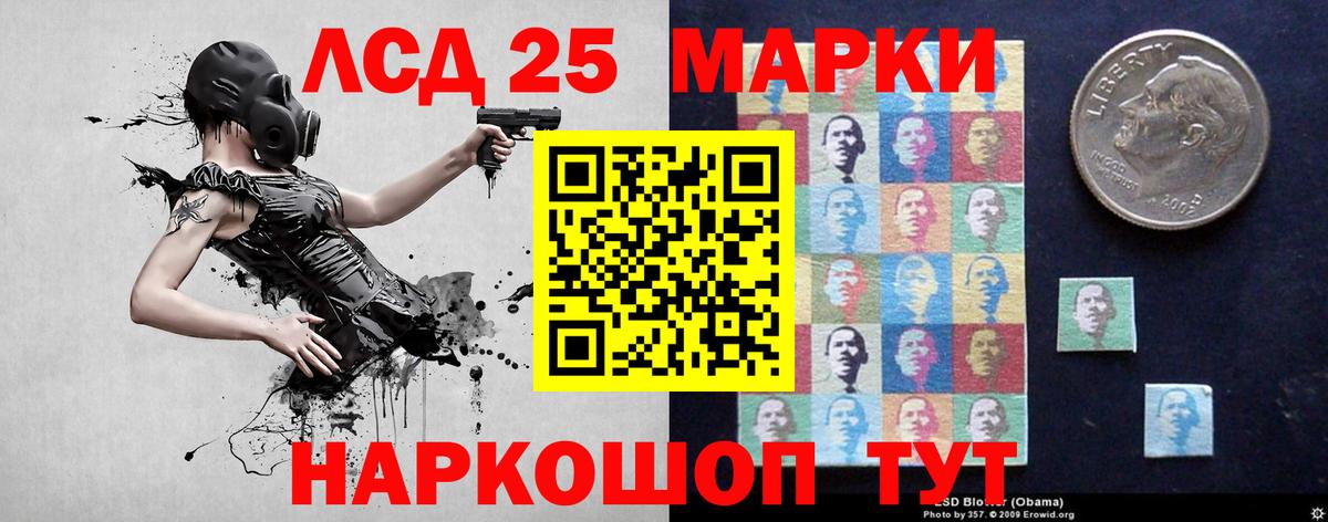 Галлюциногенные грибы Елец