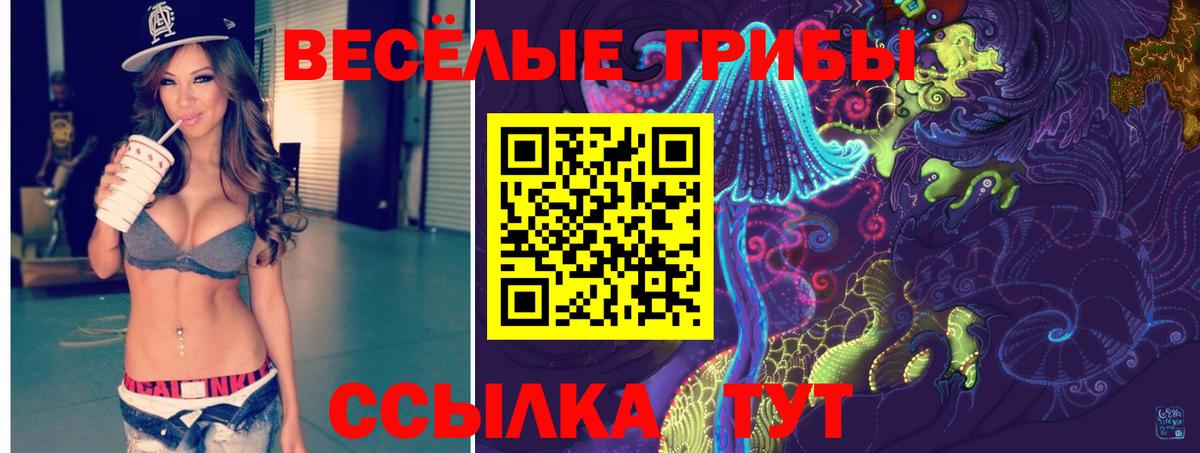 Псилоцибиновые грибы ЛСД Елец
